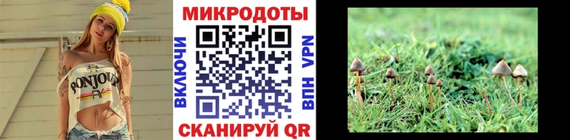 ссылка на мегу ССЫЛКА  Приморско-Ахтарск  Псилоцибиновые грибы Magic Shrooms  дарнет шоп 