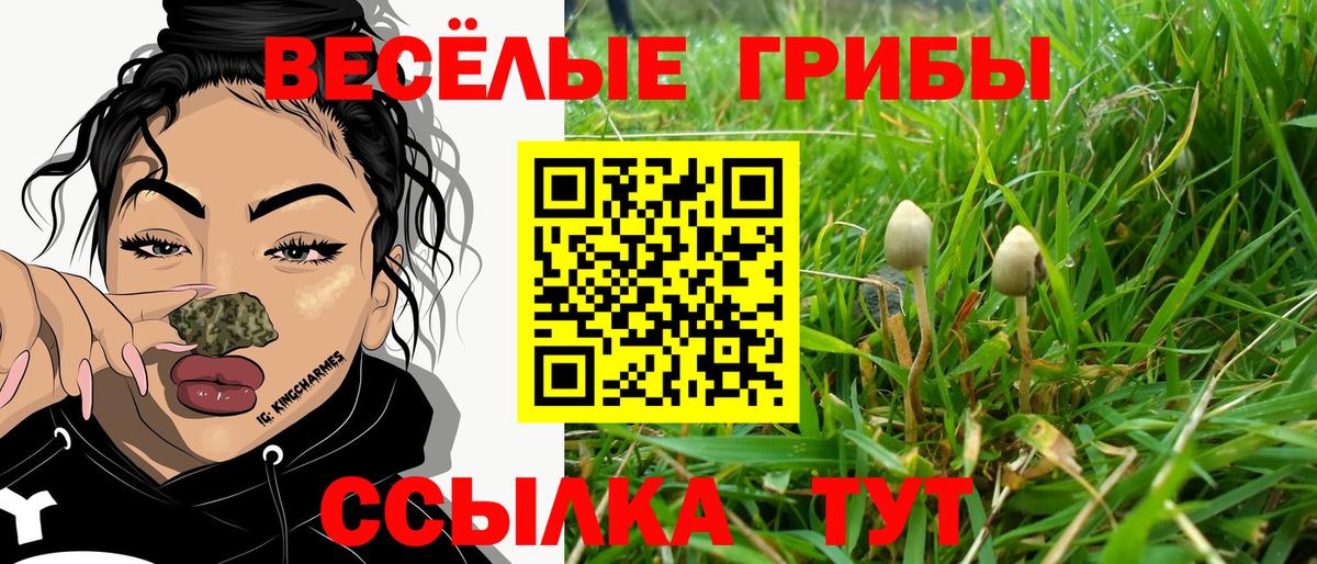 Меф кристаллы  ГАШ  Приморско-Ахтарск  Купить наркоту  Каннабис 