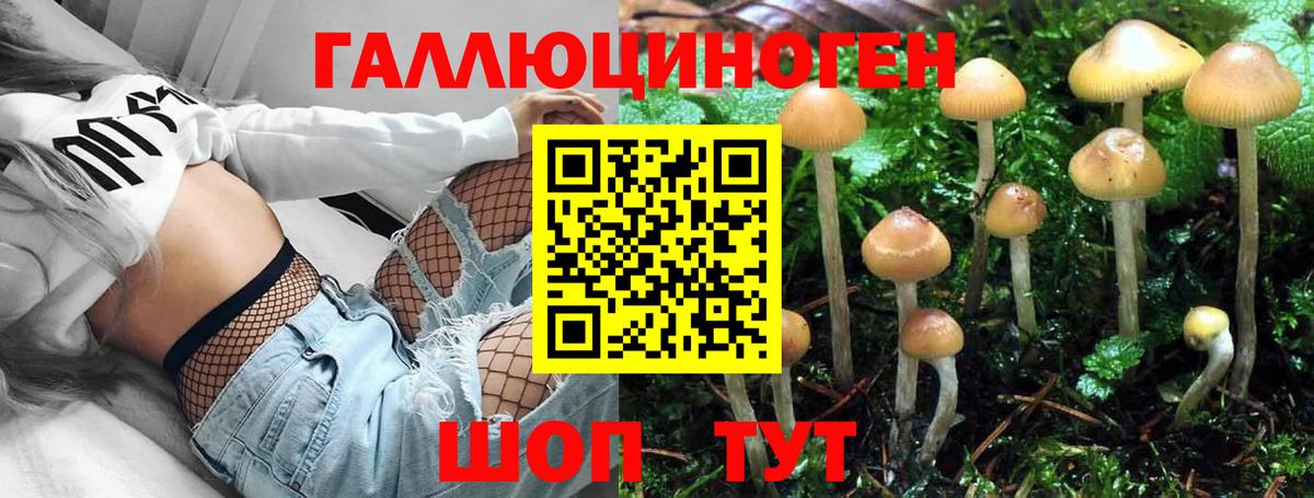 Псилоцибиновые грибы MAGIC MUSHROOMS Приморско-Ахтарск