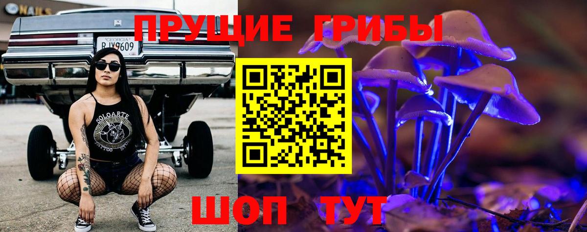 Галлюциногенные грибы прущие грибы  где купить наркотик  Галлюциногенные грибы Cubensis  Приморско-Ахтарск 