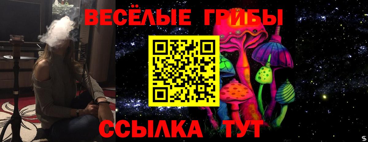 Галлюциногенные грибы ЛСД  Галлюциногенные грибы Magic Shrooms  купить наркотики цена  Вход с VPN  Приморско-Ахтарск 