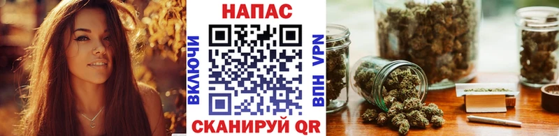 МАРИХУАНА план как найти наркотики Приморско-Ахтарск